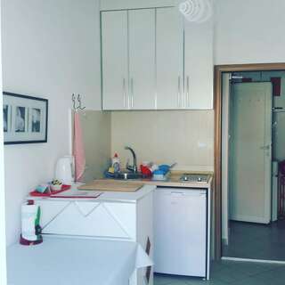 Апартаменты Apartmani Dačo Свети-Стефан Апартаменты "Комфорт" с 1 спальней и балконом-3