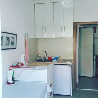 Апартаменты Apartmani Dačo Свети-Стефан Апартаменты "Комфорт" с 1 спальней и балконом-19